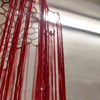 20231018_182753web.jpg Et m'y voilà tranquille au fond de l'abîme