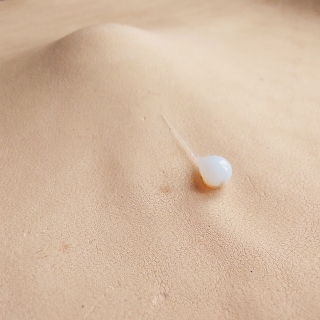 20230923_114306web.jpg Ephélides