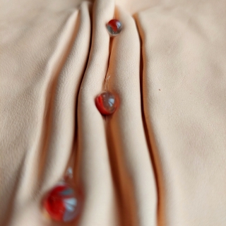 20230923_114420web.jpg Ephélides