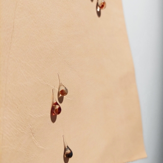 20231007_142213web.jpg Ephélides