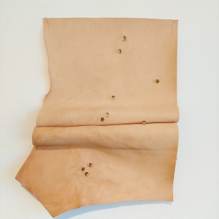 20230924_141048web.jpg Ephélides