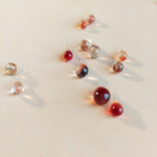 20230922_175054web.jpg Ephélides