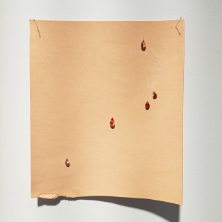 20231007_142126web.jpg Ephélides