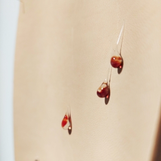 20231007_142144web.jpg Ephélides