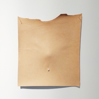 20231007_144347web.jpg Ephélides