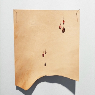 20231007_142133web.jpg Ephélides