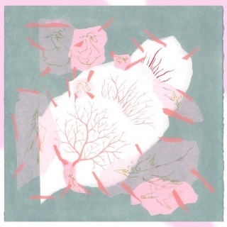 IMG_20231021_145126_503.jpg Six pieds sous mer