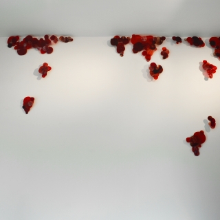 DSC_0186web.jpg Untold