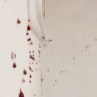 web20240702_140906.jpg Déliquescence II