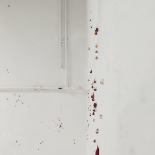 web20240702_140950.jpg Déliquescence II