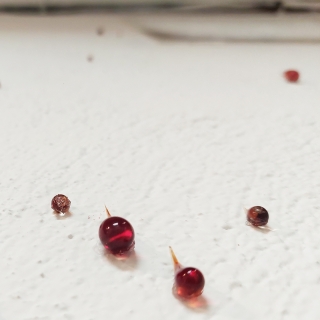 web20240702_141216.jpg Déliquescence II