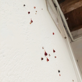 web20240702_140849.jpg Déliquescence II