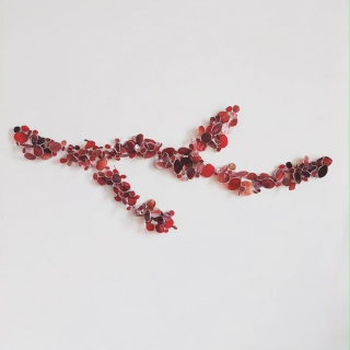 IMG_20250103_000450_439.jpg La blessure