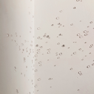 20250403_182501web.jpg Déliquescence III