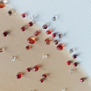 20250901_160549web.jpg Constellation