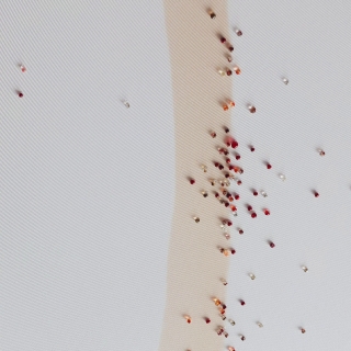 20250901_160659web.jpg Constellation