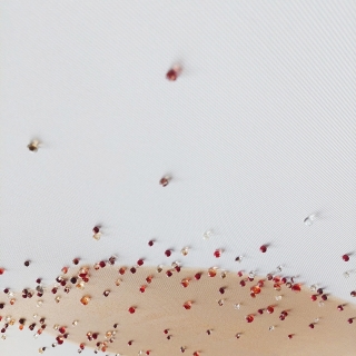 20250901_160527web.jpg Constellation