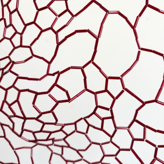 IMG_0728web.jpg Chrysalide III