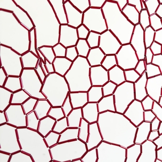 IMG_0770.jpg Chrysalide III