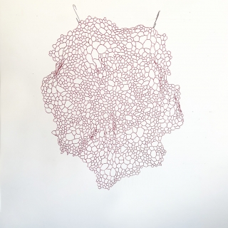 IMG_0734web4.jpg Chrysalide III