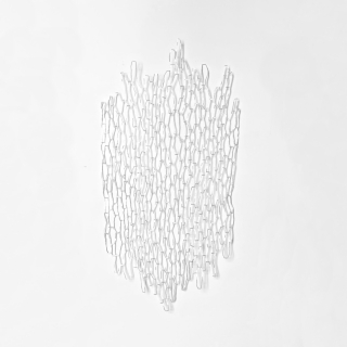 IMG_1120web.jpg Ecorce