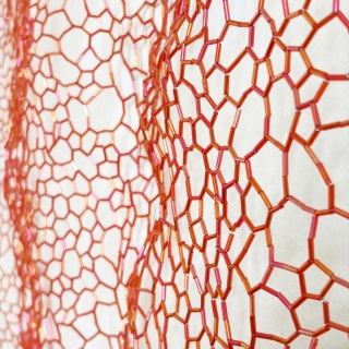 IMG_34396-web.jpg Chrysalide IV